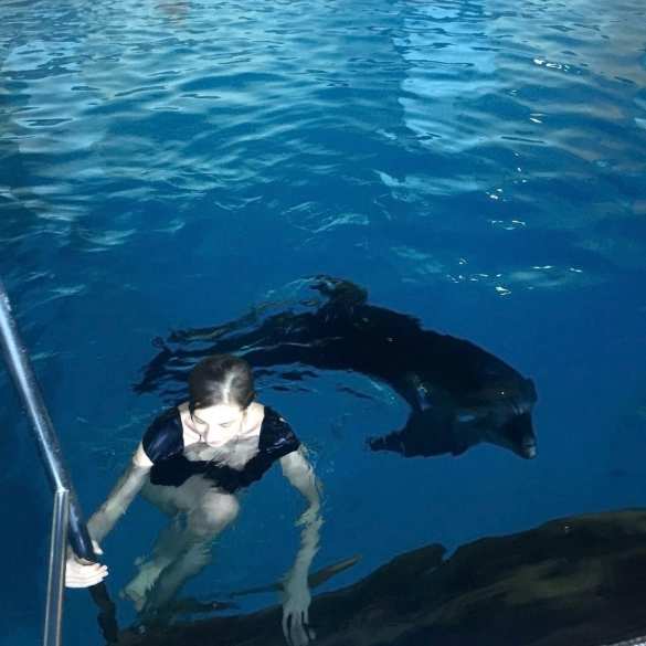 Поклонская поплавала с дельфинами в Крыму (ФОТО) | Русская весна