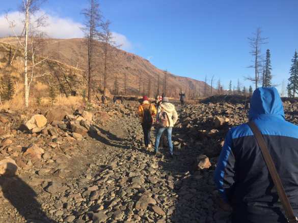 «ПОРА» в Норильск: «Белый мишка» вышел на новую экотропу «Красные Камни» (ФОТО) | Русская весна