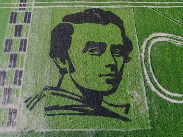Новый рекорд Украины: гигантский портрет Шевченко из риса (ФОТО) | Русская весна