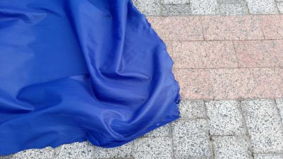 Пан президент, у вас символ порвался: ЧП в столице Украины (ФОТО) | Русская весна