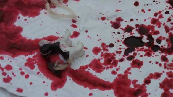 Протесты у посольства РФ в Киеве: «свидомые патриоты» заступаются за боевиков Алеппо (ФОТО, ВИДЕО) | Русская весна