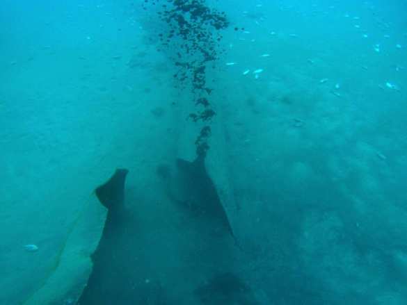 Неизвестные повредили сирийский нефтепровод в Средиземном море (ФОТО) | Русская весна