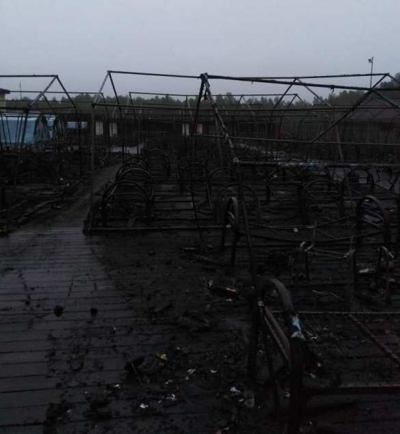 Страшный пожар под Хабаровском: сгорел детский лагерь, есть жертвы (+ФОТО, ВИДЕО) | Русская весна