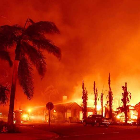 Калифорния в огне: число жертв растёт, лесные пожары уничтожают штат (ФОТО, ВИДЕО) | Русская весна