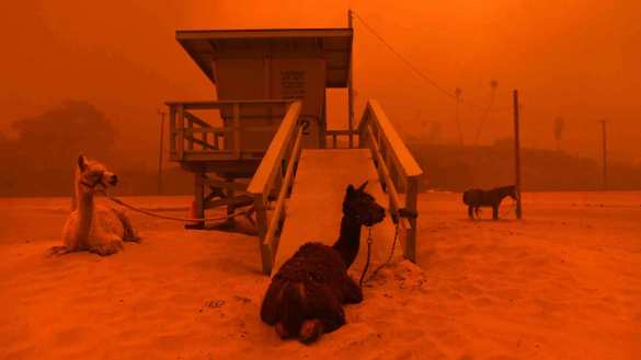 Калифорния в огне: число жертв растёт, лесные пожары уничтожают штат (ФОТО, ВИДЕО) | Русская весна