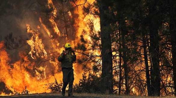 Калифорния пылает: эвакуированы тысячи людей (ФОТО, ВИДЕО) | Русская весна
