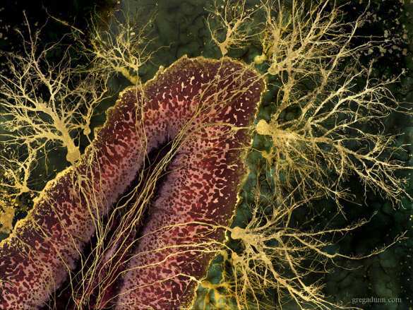 Нейронная каллиграфия | Русская весна