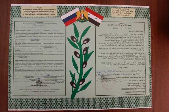 Успех ВС России: сразу 17 населенных пунктов Латакии присоединились к процессу примирения в Сирии — эксклюзив «Русской Весны» (ФОТО) | Русская весна