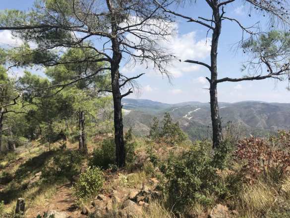 На границе тучи ходят хмуро: в сирийской Латакии боевиков прикрывает армия Турции (+ВИДЕО, ФОТО) | Русская весна