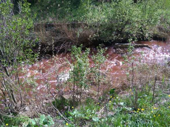 Приток Невы в Петербурге стал кроваво-красным (ФОТО, ВИДЕО) | Русская весна