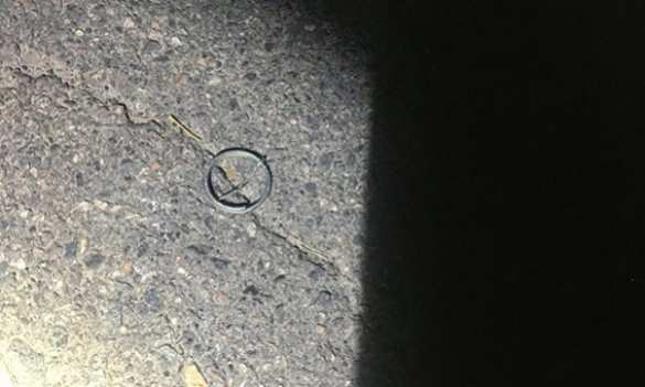 Типичная Украина: пьяный посетитель рванул «лимонку» возле дискотеки (ФОТО) | Русская весна