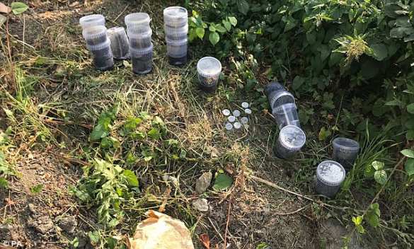 Ядовитые пауки-птицееды, выжившие в ДТП, ужаснули британцев (ФОТО, ВИДЕО) | Русская весна