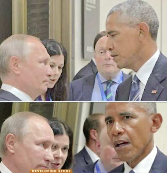 Саммит G20: «Путин сжал немощную руку Обамы так, что тот изменился в лице» (ФОТО) | Русская весна