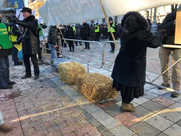 «Слугам народа» принесли золотой унитаз: протесты у Рады и Офиса Зеленского (ФОТО, ВИДЕО) | Русская весна