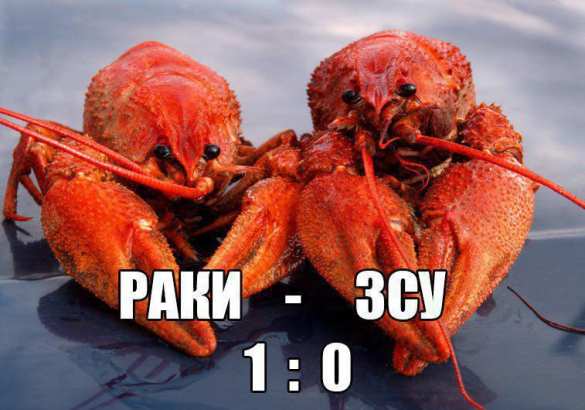 Раки — ВСУ 1:0 — украинский военный утонул вместе с автомобилем | Русская весна