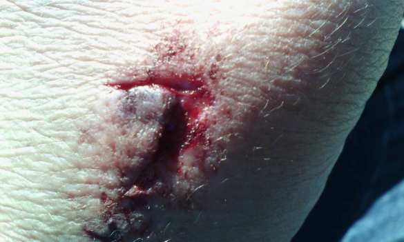 «Какая же я курва?» — продавец, избившая вдову карателя, рассказала подробности драки (ФОТО, ВИДЕО) | Русская весна