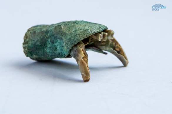 Археологи нашли монетный клад на месте будущего автоподхода к Крымскому мосту (ФОТО) | Русская весна