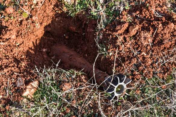 Российские роботы и собаки: саперы ВС РФ разминируют Алеппо — новые впечатляющие кадры (ФОТО) | Русская весна