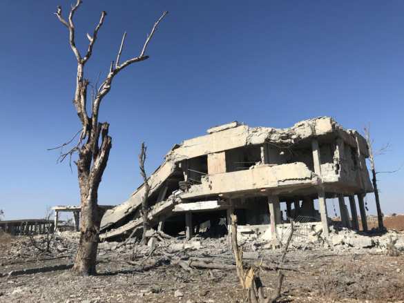 Ад на юге Сирии: ВКС вместе с «духами» громят ИГИЛ, страшная вонь от сотен разлагающихся боевиков (ВИДЕО, ФОТО 18+) | Русская весна