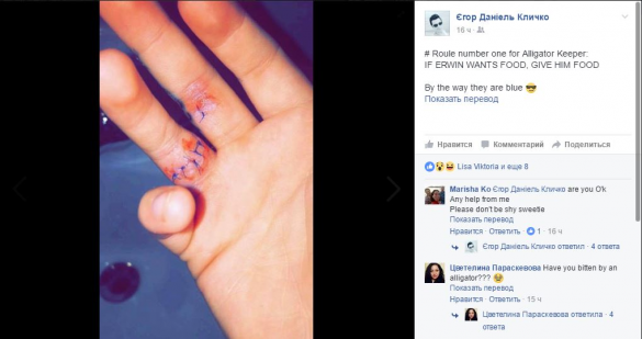 Сына Виталия Кличко покусал аллигатор (ФОТО) | Русская весна