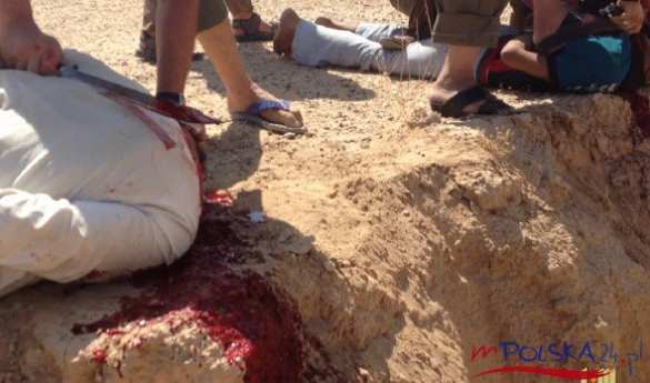 Шокирующие кадры: Против чего Россия воюет в Сирии (ФОТО СТРОГО 21+) | Русская весна