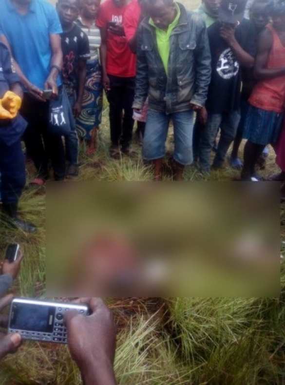 В Конго разбился военный самолет с украинцами на борту (ФОТО) | Русская весна