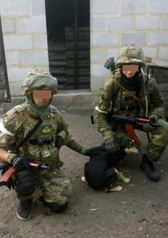 Я карателя узнаю по всему | Русская весна