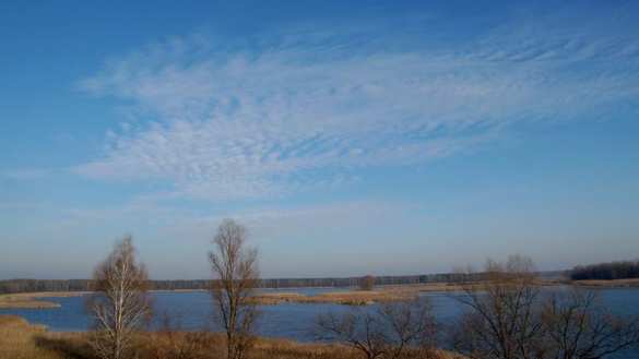 Символ Украины: опубликованы удивительно грустные фото заброшенного села в Чернобыльской зоне (+ФОТО) | Русская весна