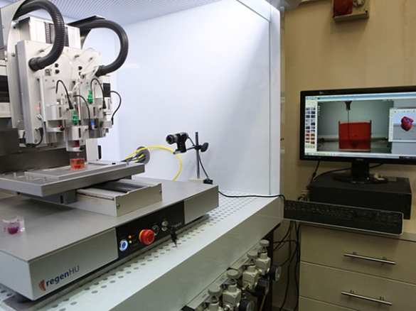 Впервые в мире учёные напечатали «живое» сердце (ФОТО) | Русская весна