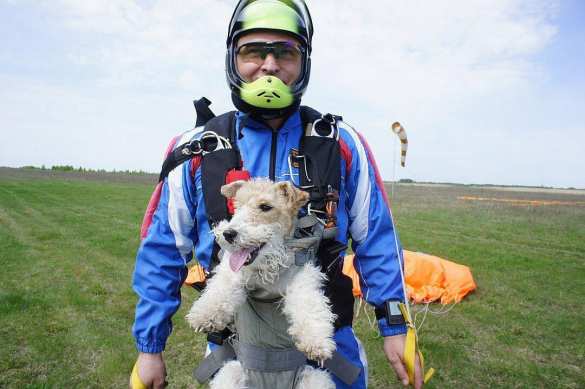 Опубликованы имена россиян, погибших при авиакатастрофе в Эфиопии (ФОТО, ВИДЕО) | Русская весна