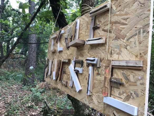 «Дети леса»: новые реалии в школе Франции (+ВИДЕО, ФОТО) | Русская весна