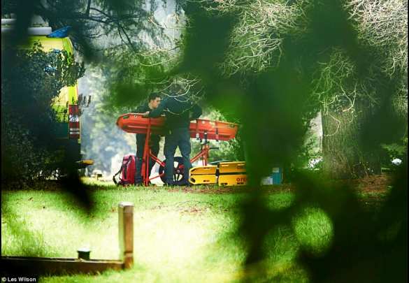 Цветы смерти: в Британии изучают букет с могилы жены Скрипаля, называя его вероятной причиной отравления (ФОТО) | Русская весна