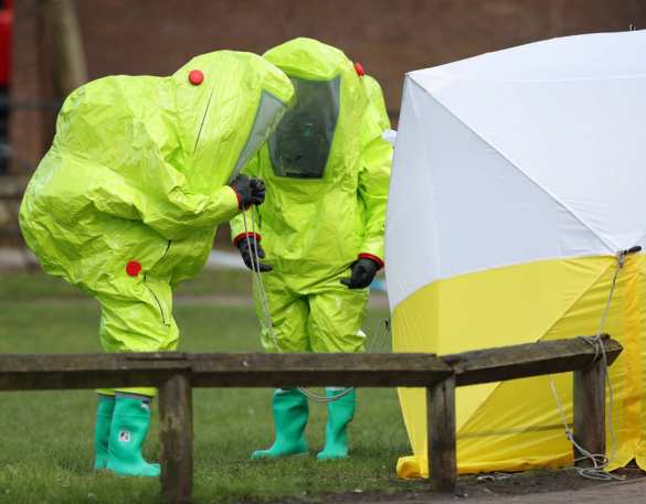 Цветы смерти: в Британии изучают букет с могилы жены Скрипаля, называя его вероятной причиной отравления (ФОТО) | Русская весна