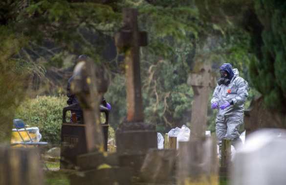 Цветы смерти: в Британии изучают букет с могилы жены Скрипаля, называя его вероятной причиной отравления (ФОТО) | Русская весна