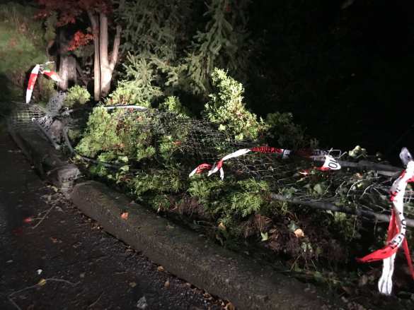 В Швейцарии подросток с топором напал на прохожих (+ВИДЕО, ФОТО 18+) | Русская весна