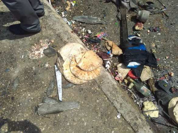 Турецкие военные расстреляли шестерых сирийских детей при попытке перейти границу (ФОТО 18+) | Русская весна