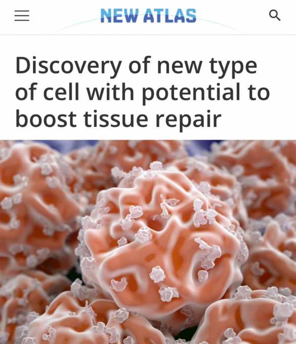 Ученые нашли способ быстрого заживления ран | Русская весна