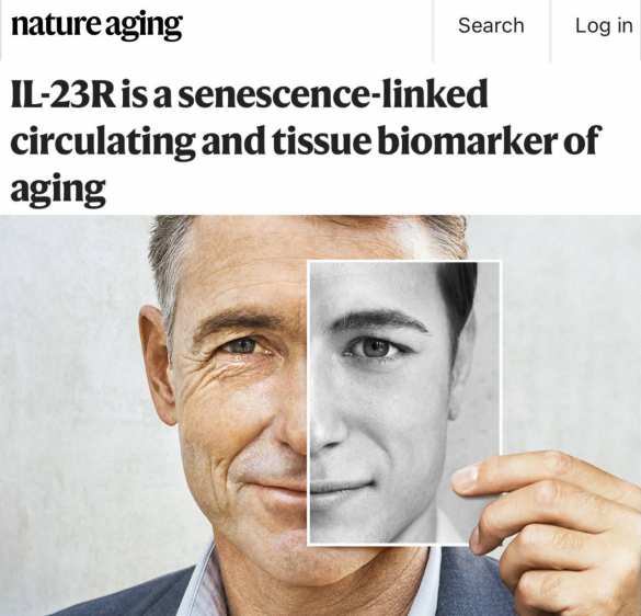 В клетках человеческого организма найден «таймер смертности» | Русская весна