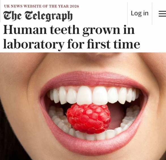 Революция в стоматологии — теперь зубы можно «выращивать» в лабораториях | Русская весна