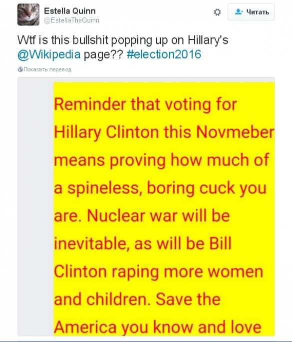 В Википедии страницу о Клинтон заменили порнографическим изображением | Русская весна
