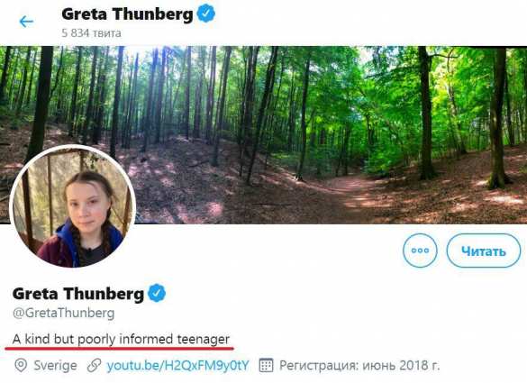 «Добрая девочка» Грета изменила профиль в Twitter после слов Путина (ФОТО) | Русская весна
