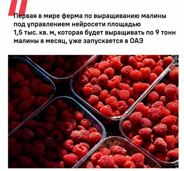 Российские автономные грядки захватывают мировые рынки | Русская весна