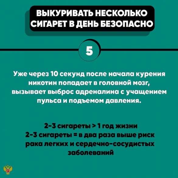 Мифы о курении, которые убивают миллионы людей (ФОТО) | Русская весна