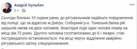 В Днепропетровске рой шершней насмерть загрыз мужчину (ФОТО 18+) | Русская весна