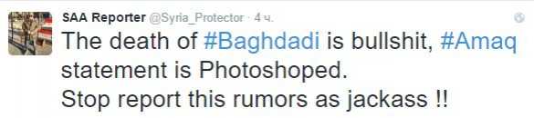 Главаря ИГИЛ Аль-Багдади убили журналисты при помощи «фотошопа» (ФОТО) | Русская весна