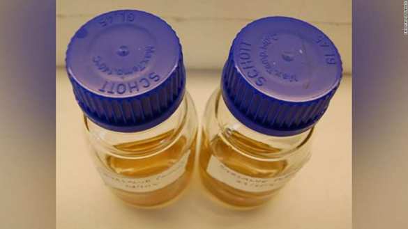 Тайна древнего трактата: учёные считают, что средневековое лекарство может спасти множество жизней (ФОТО) | Русская весна