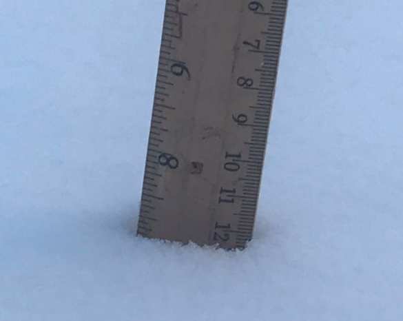 Из России в США пришёл «сибирский кошмар»: Отменены авиарейсы, закрыты школы и предприятия (+ФОТО, ВИДЕО) | Русская весна