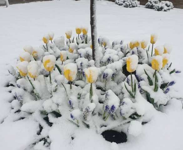 Восточную Европу накрыли резкое похолодание и снегопады (ФОТО, ВИДЕО) | Русская весна
