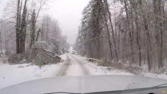 Снежный шторм атаковал юг США: есть погибший, сотни тысяч домов без электричества (ФОТО, ВИДЕО) | Русская весна