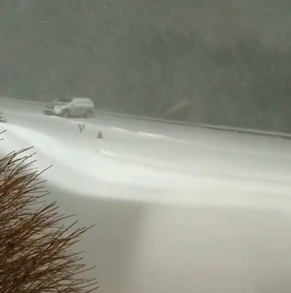 Снежный шторм атаковал юг США: есть погибший, сотни тысяч домов без электричества (ФОТО, ВИДЕО) | Русская весна